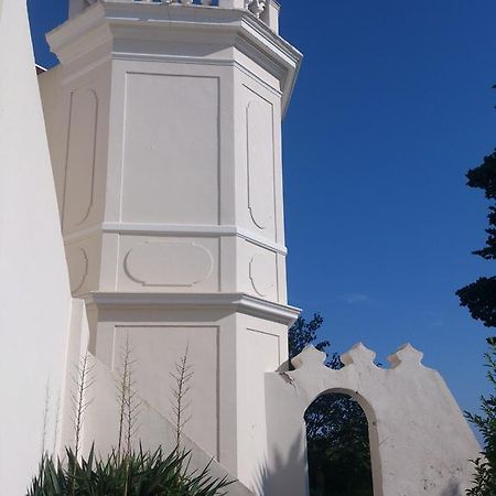 לה סיין סור-מר Villa-Chateau Les Terrasses - Tamaris, Plage Des Sablettes, Mer Au Bas De La Propriete מראה חיצוני תמונה