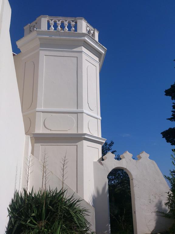 לה סיין סור-מר Villa-Chateau Les Terrasses - Tamaris, Plage Des Sablettes, Mer Au Bas De La Propriete מראה חיצוני תמונה