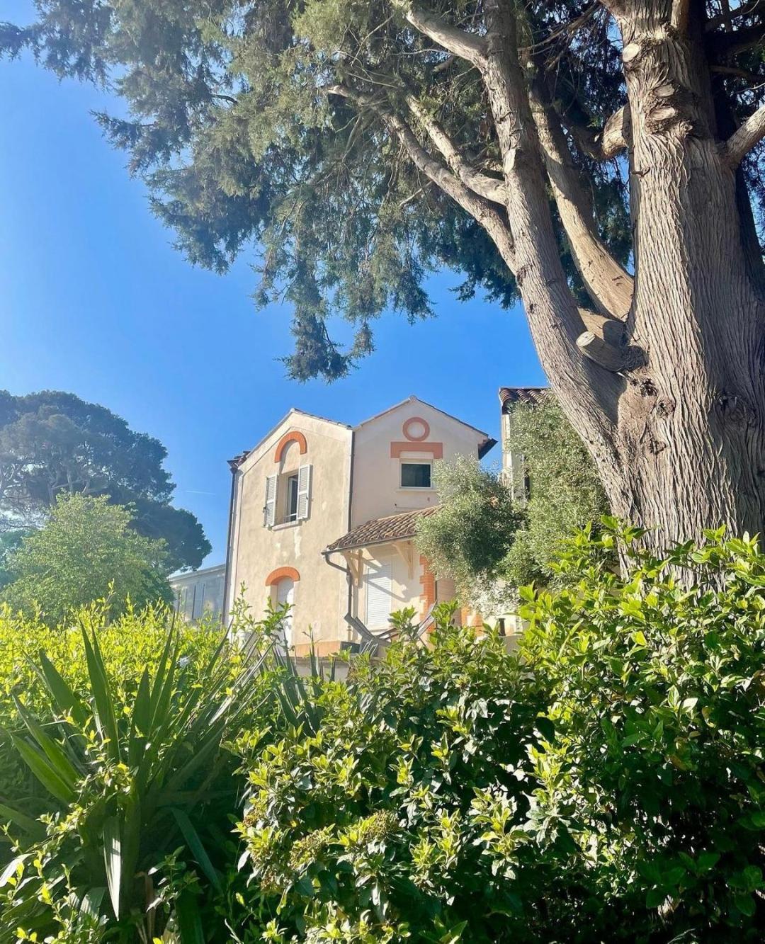 לה סיין סור-מר Villa-Chateau Les Terrasses - Tamaris, Plage Des Sablettes, Mer Au Bas De La Propriete מראה חיצוני תמונה